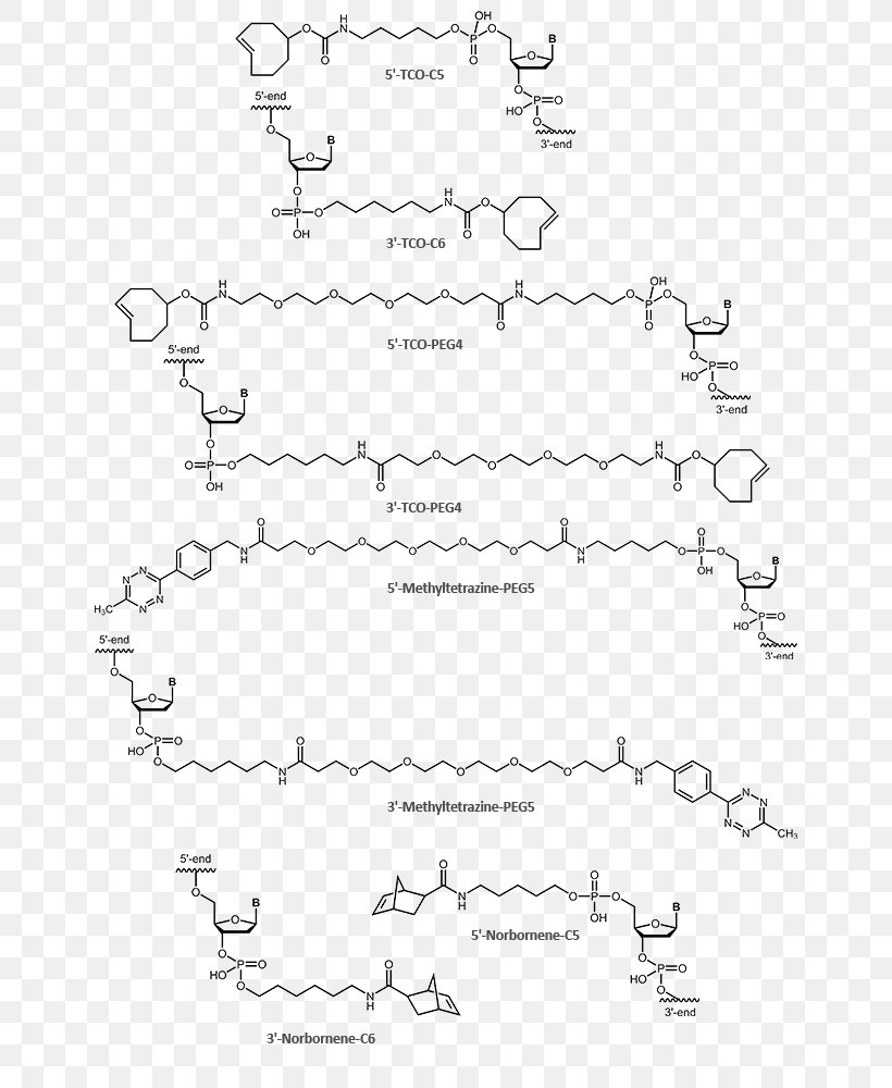 Click Chemistry Tetrazine Cycloaddition Chemical Reaction, PNG, 650x1000px, Click Chemistry, Area, Black And White, Chemical Reaction, Chemistry Download Free