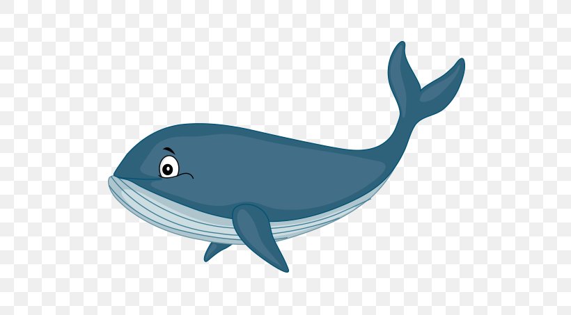 Common Bottlenose Dolphin Cetacea Cartoon Home Page Clip Art, PNG, 566x453px, Common Bottlenose Dolphin, Animal, Aqua, Azure, Blue Whale Download Free