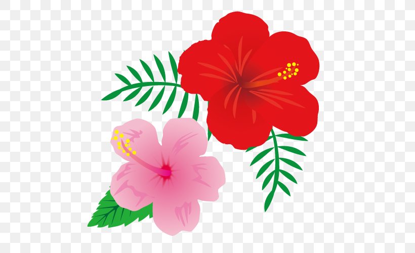 Hibiscus Annual Plant Magenta Herbaceous Plant, PNG, 500x500px, Hibiscus, Annual Plant, Flower, Flowering Plant, Herbaceous Plant Download Free