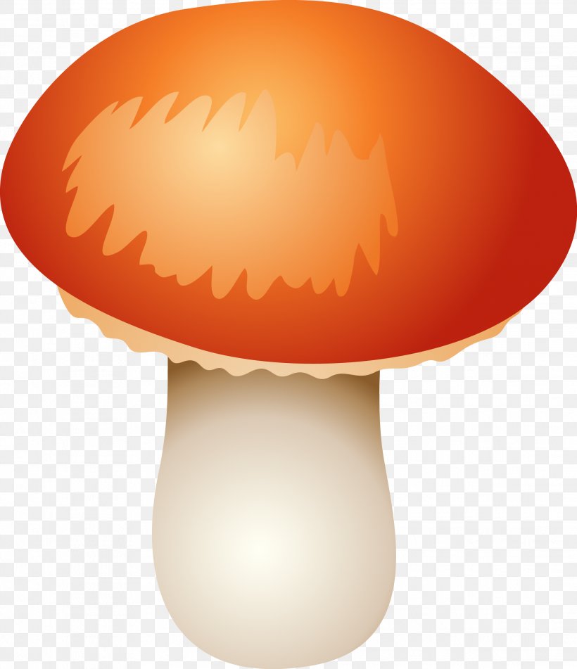 Mushroom Clip Art, PNG, 2236x2595px, Mushroom, Color, Common Mushroom, Cream Of Mushroom Soup, Edible Mushroom Download Free