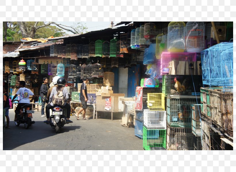 Street Food Bazaar Vehicle, PNG, 800x600px, Street Food, Bazaar, City, Food, Market Download Free