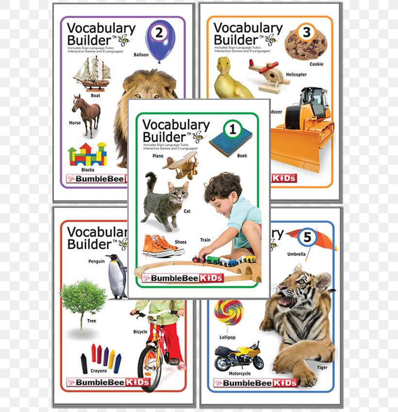 Vocabulary Builder Child Infant Action Words 3, PNG, 720x850px, Vocabulary Builder, Area, Bumblebee, Child, English Download Free