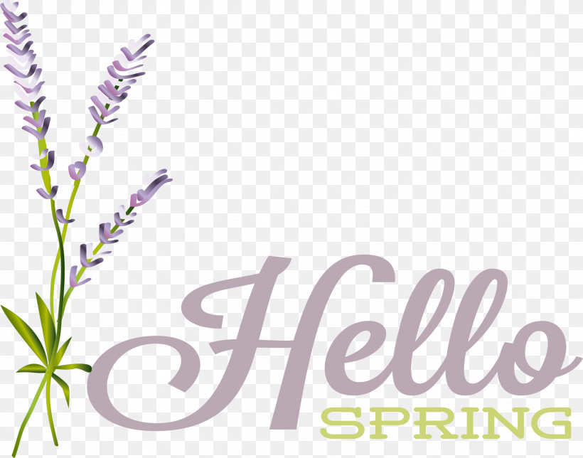 Lavender, PNG, 2496x1963px, Flower, Biology, Lavender, Lilac, Logo Download Free