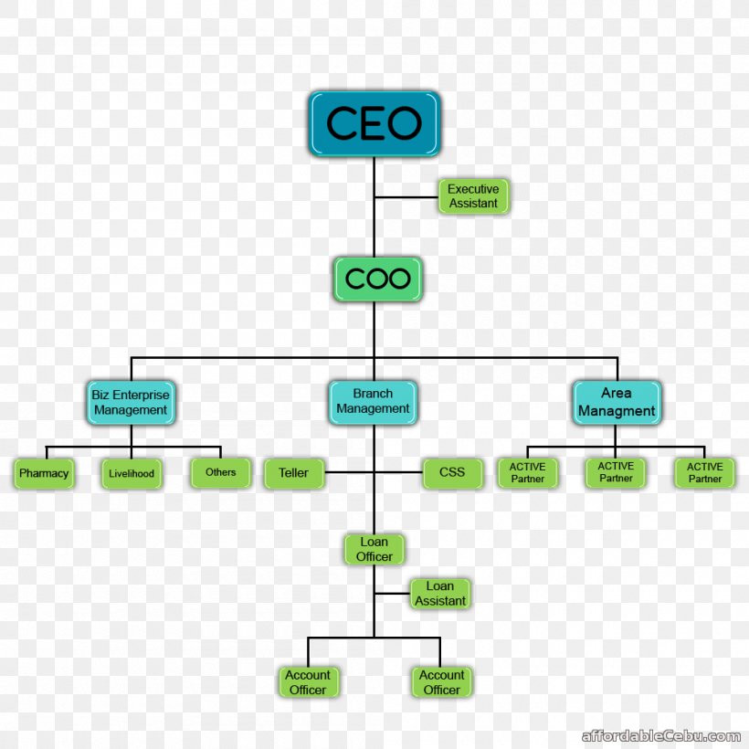 Organizational Chart Diagram Organizational Structure Cooperative, PNG, 1000x1000px, Organizational Chart, Area, Brand, Business, Chart Download Free
