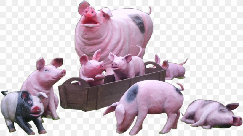 Domestic Pig Animal Hogs And Pigs Horse, PNG, 2524x1417px, Pig, Animal, Bird, Dog, Domestic Pig Download Free