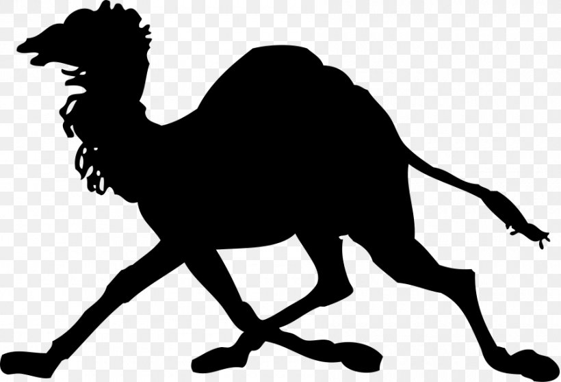 Dromedary Silhouette Clip Art, PNG, 900x613px, Dromedary, Black And White, Camel, Camel Like Mammal, Free Content Download Free