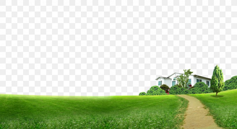 Lawn Grass Download Computer File, PNG, 1100x600px, Lawn, Architecture, Designer, Dirt Road, Energy Download Free