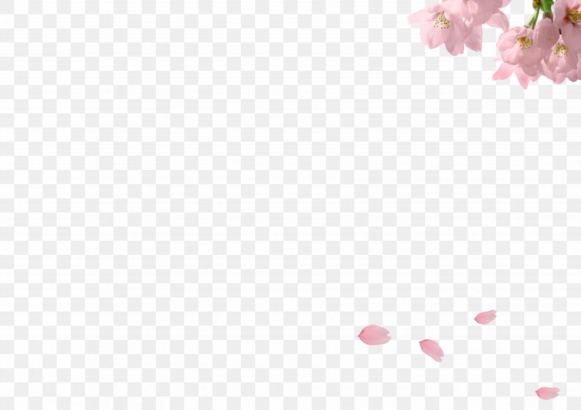 Petal Angle Pink Pattern, PNG, 3508x2480px, Petal, Para Para Sakura, Pink, Rectangle, Symmetry Download Free