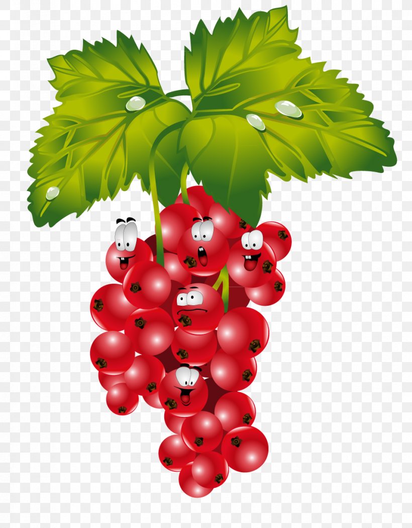 Redcurrant Blackcurrant Frutti Di Bosco Raspberry, PNG, 953x1221px, Redcurrant, Auglis, Berry, Blackcurrant, Blueberry Download Free
