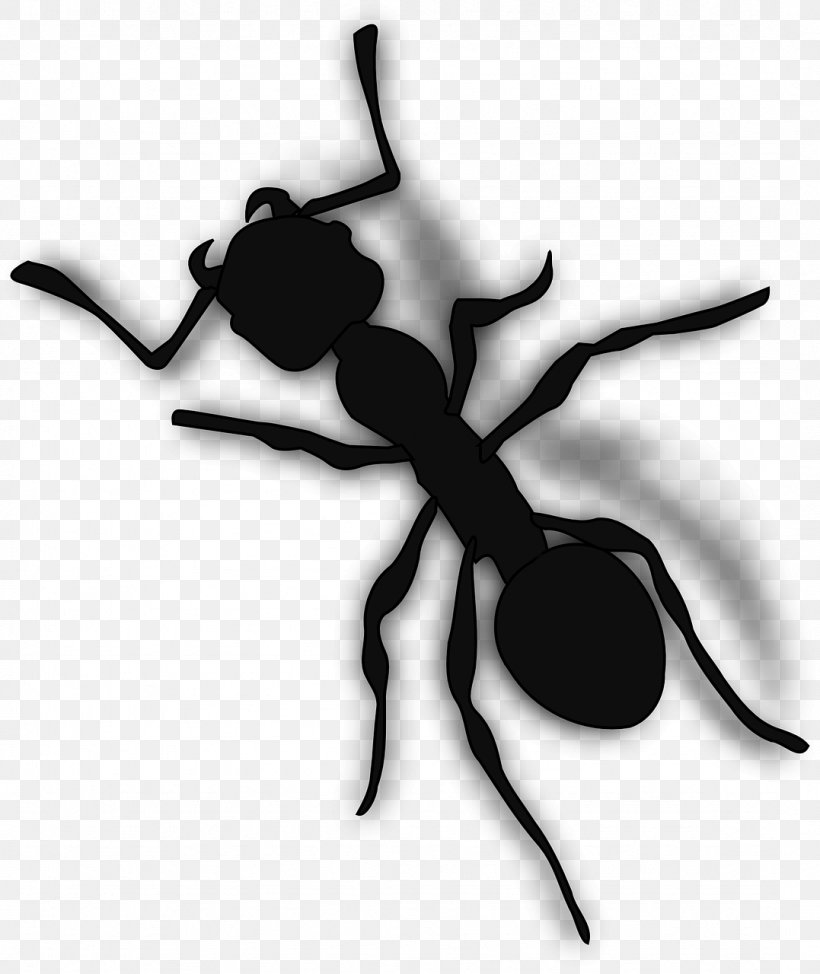 Ant Clip Art, PNG, 1077x1280px, Ant, Arthropod, Black And White, Cartoon, Drawing Download Free