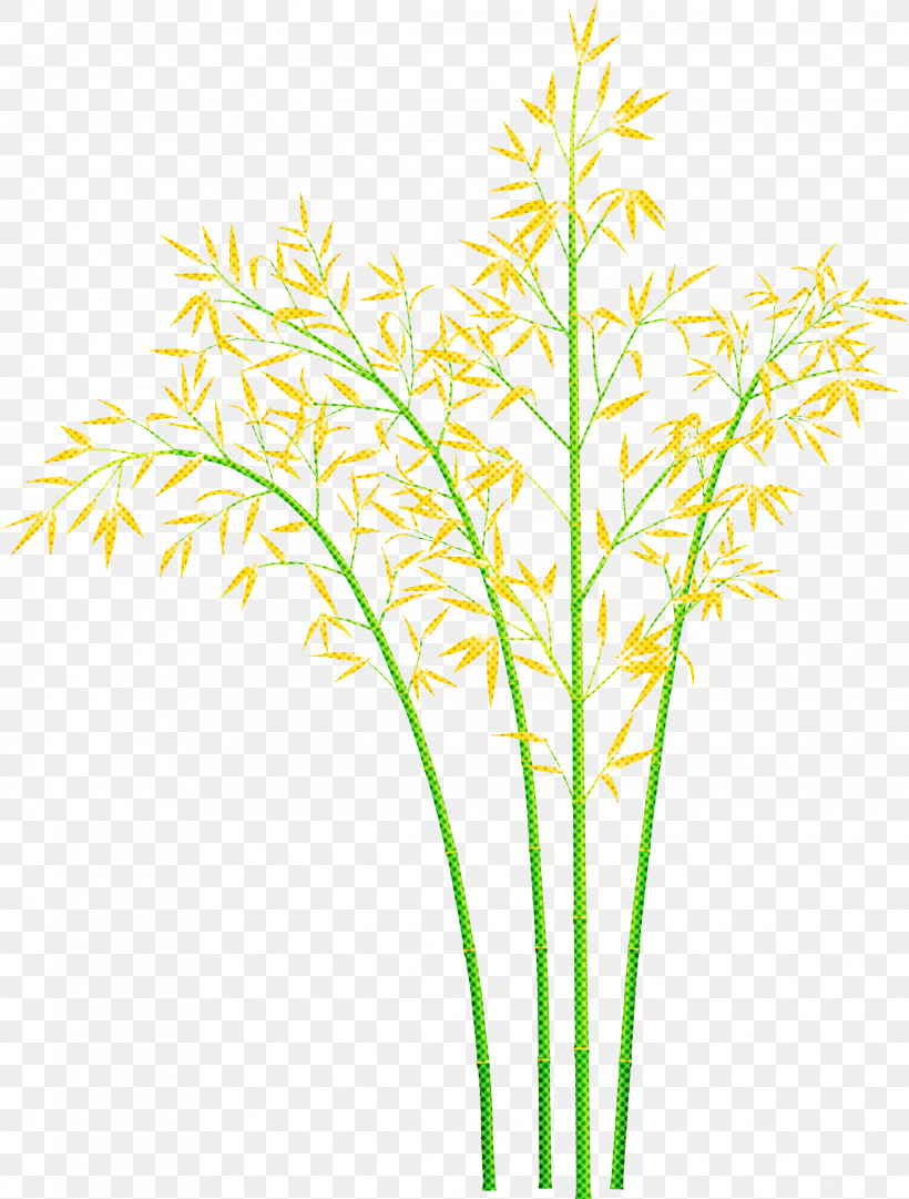 Bamboo Leaf, PNG, 2273x2999px, Bamboo, Flower, Grass, Grass Family, Leaf Download Free