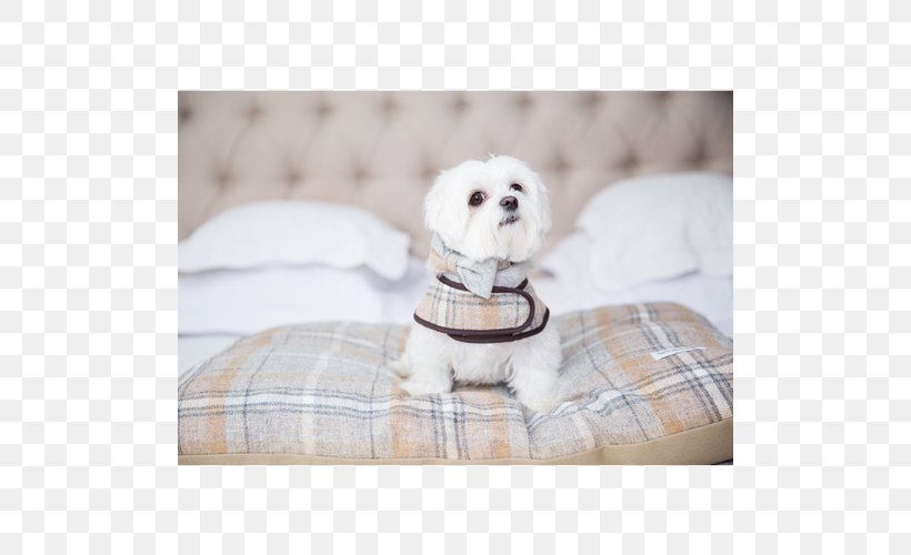 Dog Breed Puppy Companion Dog Textile, PNG, 500x500px, Dog Breed, Breed, Companion Dog, Dog, Dog Like Mammal Download Free
