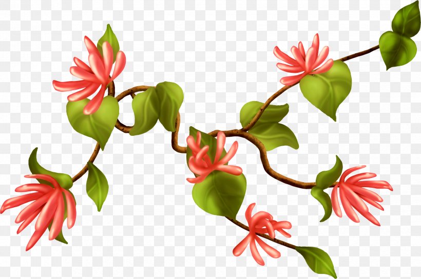 Flower Plant Stem Clip Art, PNG, 3400x2258px, Flower, Branch, Bud, Flora, Flowering Plant Download Free