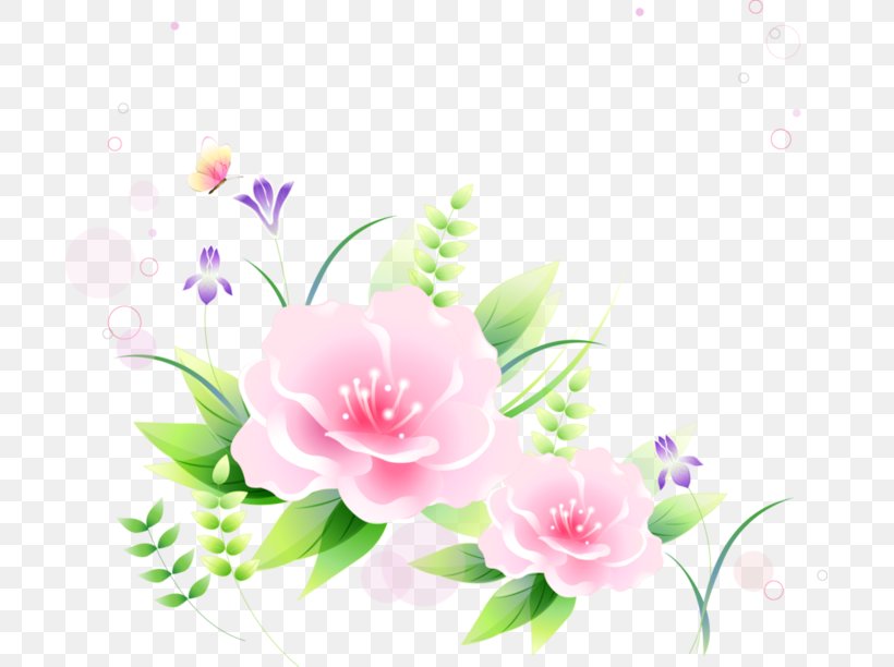Garden Roses Japanese Camellia Sasanqua Camellia Floral Design Desktop Wallpaper, PNG, 699x612px, Garden Roses, Camellia, Camellia Sasanqua, Computer, Flora Download Free