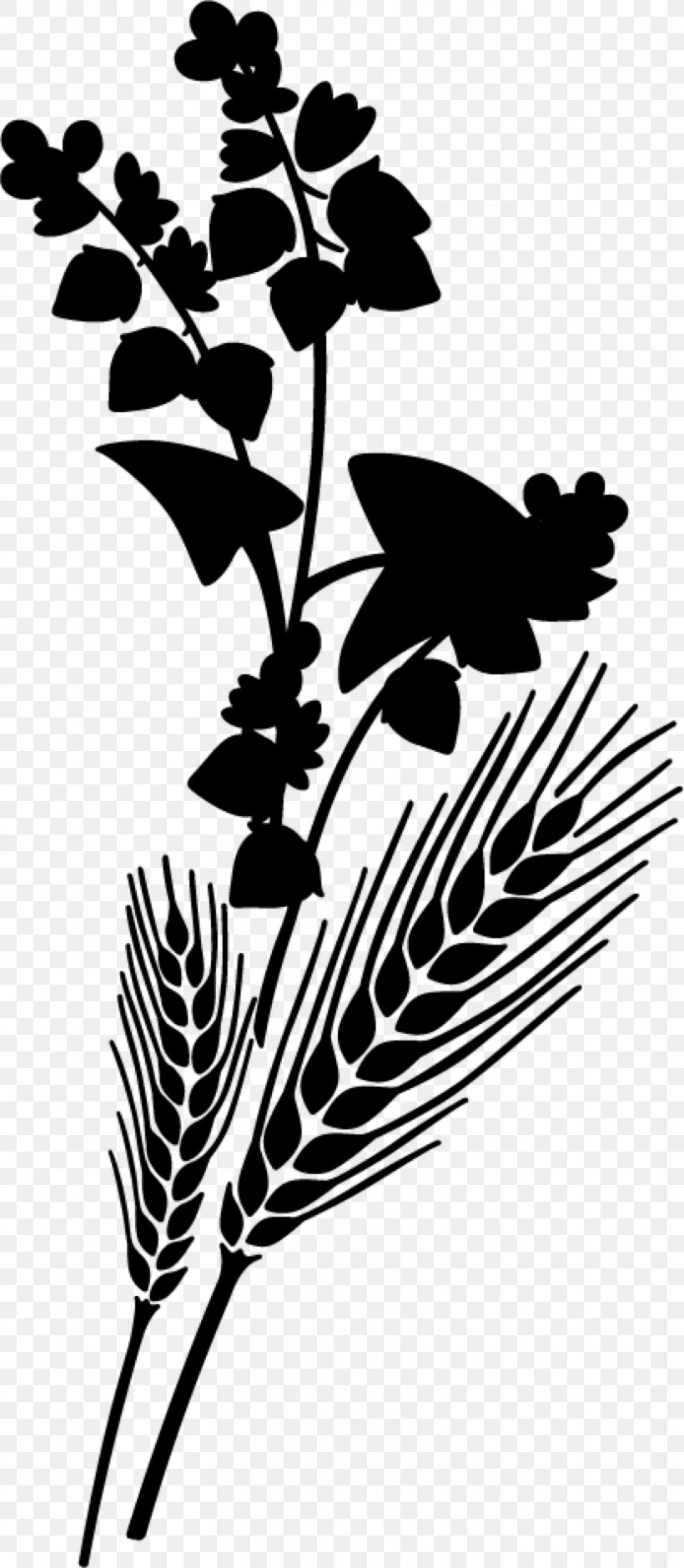 Graphics Plant Stem Illustration Flower Leaf, PNG, 830x1902px, Plant Stem, Blackandwhite, Botany, Branching, Flower Download Free