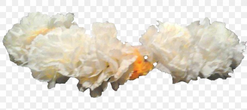 Crown Wreath Flower White, PNG, 880x392px, Crown, Animal, Collage, Flower, Gimp Download Free