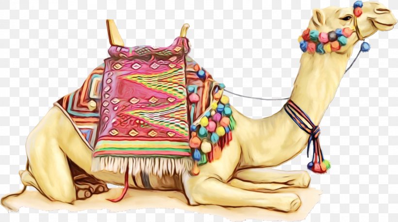 India Background, PNG, 1554x868px, Dromedary, Arabian Camel, Beige, Camel, Camelid Download Free