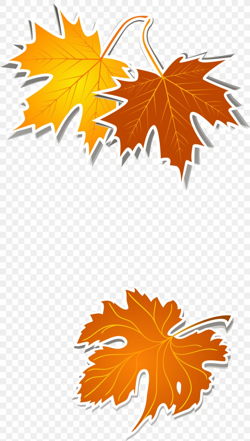 Leaf Yellow Clip Art, PNG, 900x1588px, Leaf, Autumn, Color, Flower, Flowering Plant Download Free