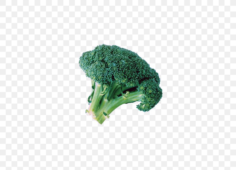 Broccoli Extract Cauliflower Cabbage Vegetable, PNG, 591x591px, Broccoli, Broccoli Extract, Cabbage, Cauliflower, Dish Download Free