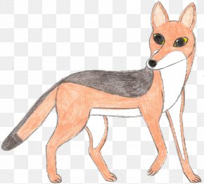 Hyena - Red Fox Black-backed Jackal Dog Canidae PNG