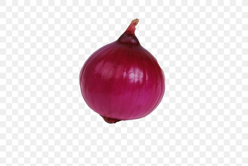 Red Onion Free Onion Vegetable, PNG, 1024x685px, Red Onion, Allium, Food, Free Onion, Fruit Download Free
