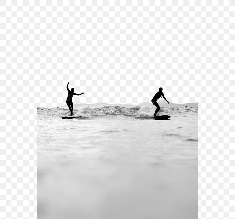 Surfing Surfboard Surf Culture Wave Extreme Sport, PNG, 564x765px, Surfing, Billabong, Black And White, Boardsport, Extreme Sport Download Free