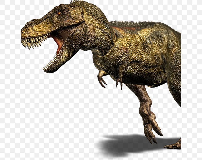 Giganotosaurus Velociraptor Late Cretaceous Carnotaurus Spinosaurus, PNG, 650x650px, Giganotosaurus, Allosaurus, Barnum Brown, Carnotaurus, Cretaceous Download Free