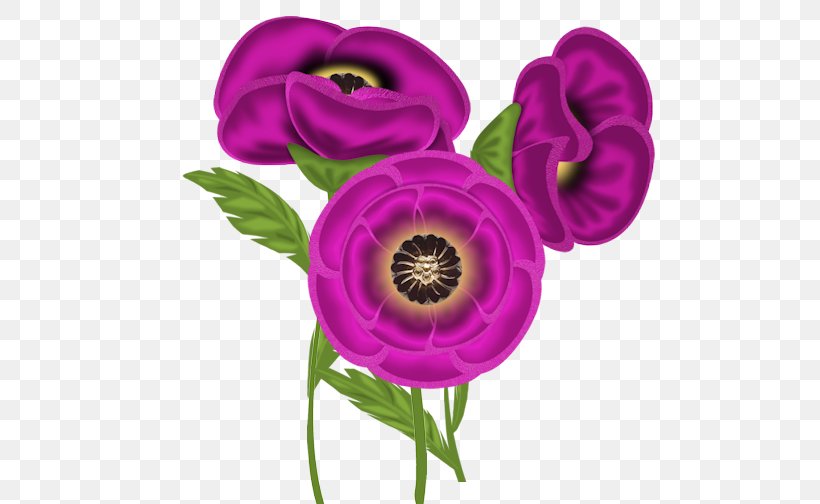 Lilac Purple Violet Internet Forum, PNG, 504x504px, Lilac, Anemone, Cut Flowers, Discussion, Email Download Free