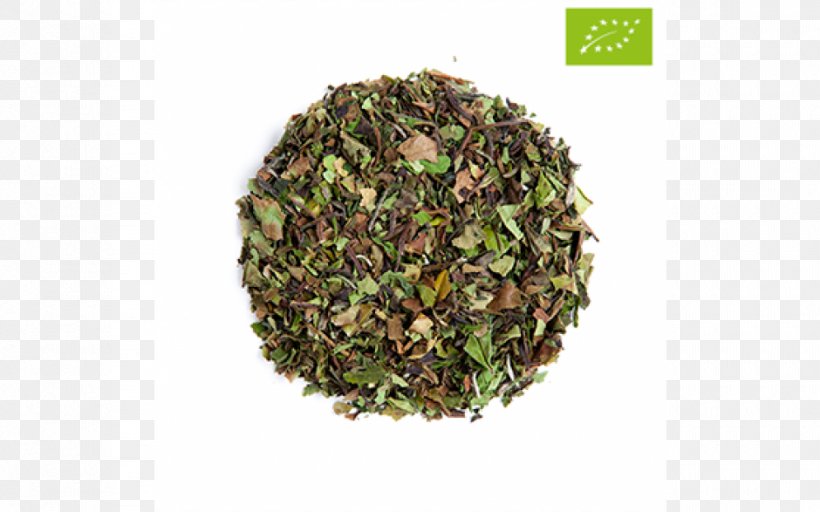 Nilgiri Tea Sencha Herb Tea Plant, PNG, 940x587px, Nilgiri Tea, Darjeeling Tea, Herb, Hojicha, Oolong Download Free