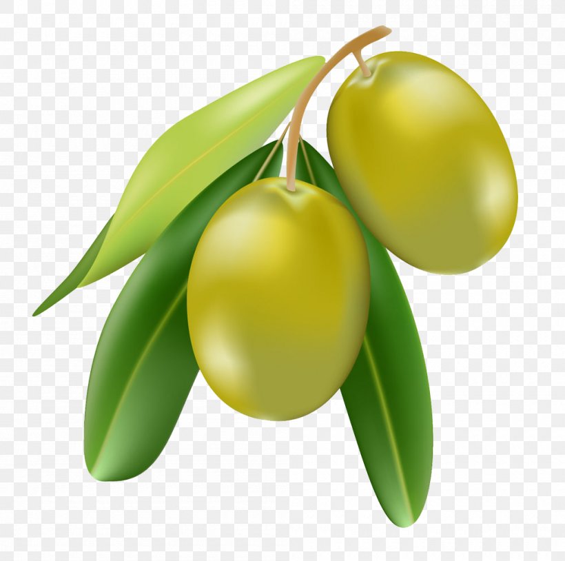 Olive Oil Cartoon Illustration, PNG, 1000x993px, Olive, Cartoon, Citrus, Food, Fruit Download Free
