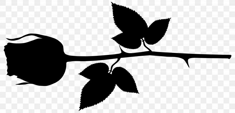 Clip Art Leaf Plant Stem Flower Silhouette, PNG, 5158x2476px, Leaf, Black M, Blackandwhite, Botany, Branch Download Free