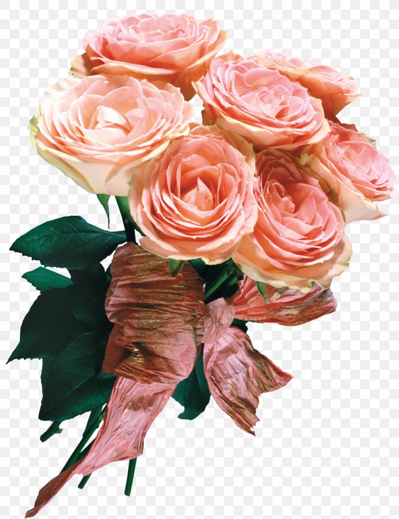 Garden Roses Centifolia Roses Baku Flower Festival Flower Bouquet, PNG, 2305x3000px, Garden Roses, Artificial Flower, Baku Flower Festival, Birthday, Blume Download Free