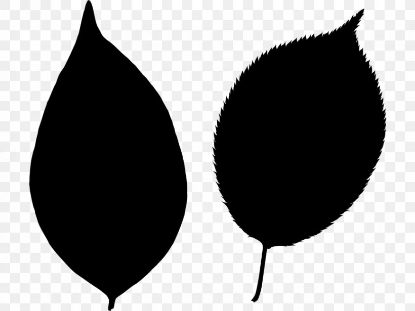 Leaf Line Font Silhouette Tree, PNG, 866x650px, Leaf, Black M, Blackandwhite, Plant, Silhouette Download Free