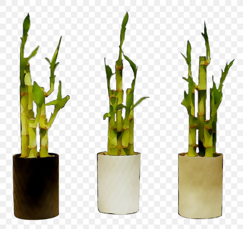 Product Design Bamboo, PNG, 1180x1116px, Bamboo, Flower, Flowerpot, Grass Family, Houseplant Download Free