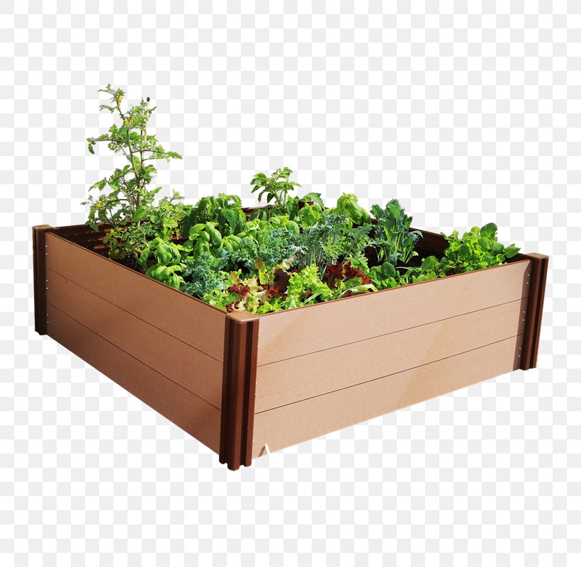 Raised-bed Gardening Garden Furniture Flowerpot, PNG, 800x800px, Raisedbed Gardening, Back Garden, Bed, Box, Flower Garden Download Free