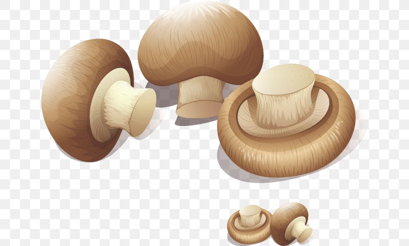 Shiitake Mushroom Cartoon, PNG, 654x494px, Shiitake, Agaricaceae, Cartoon, Edible Mushroom, Google Images Download Free