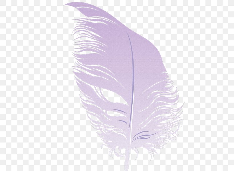 Feather, PNG, 800x600px, Feather, Leaf, Lilac, Purple, Quill Download Free