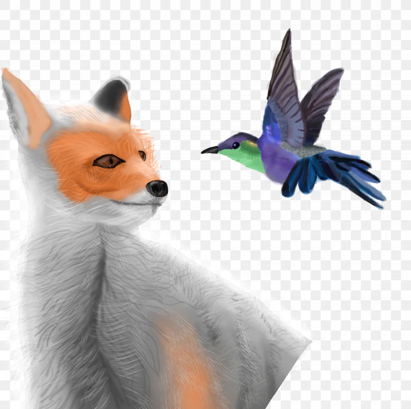 Red Fox Bird Beak Fauna Feather, PNG, 4452x4436px, Red Fox, Beak, Bird, Carnivoran, Dog Like Mammal Download Free