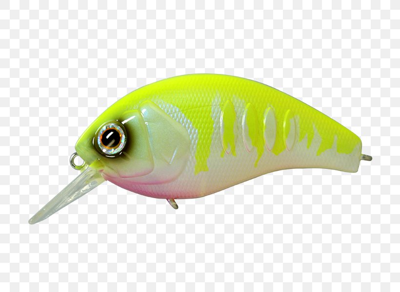 Korrigan Fish (back Number單曲), PNG, 800x600px, Korrigan, Bait, Fish, Fishing Bait, Fishing Lure Download Free