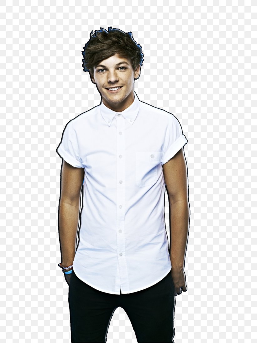Louis Tomlinson Take Me Home Tour One Direction Up All Night, PNG, 730x1094px, Watercolor, Cartoon, Flower, Frame, Heart Download Free