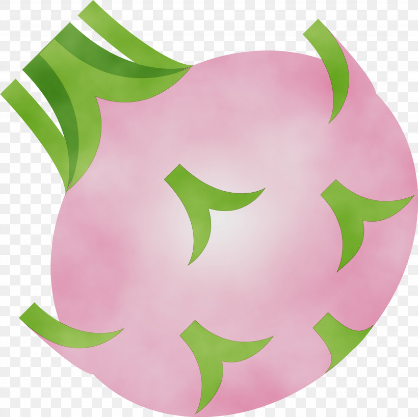 Pink Green Leaf Plant Fruit, PNG, 3000x2995px, Kohlrabi, Fruit, Green, Leaf, Logo Download Free