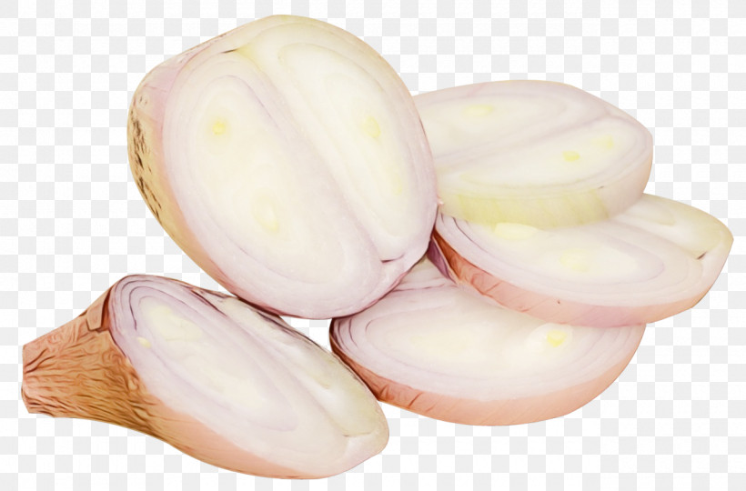 Pistachio Vegetable Nut Fruit Commodity, PNG, 1280x844px, Watercolor, Commodity, Fruit, Ingredient, Nut Download Free