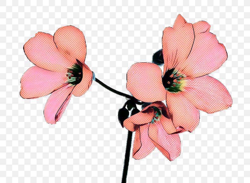 Cut Flowers Petal Plants Flowering Plant Blossom, PNG, 800x600px, Cut Flowers, Anemone, Artificial Flower, Blossom, Flower Download Free