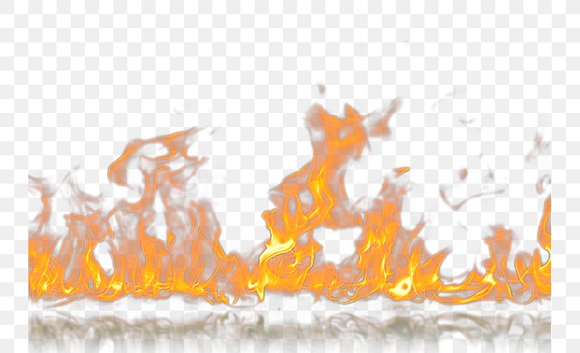 Fire Transparency And Translucency Flame Clip Art, PNG, 739x500px, Fire, Carnivoran, Combustion, Flame, Orange Download Free