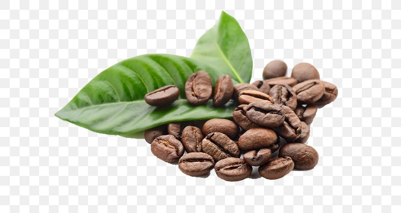 Kona Coffee Espresso Tea Coffee Bean, PNG, 658x436px, Coffee, Arabica Coffee, Barista, Bean, Burr Mill Download Free