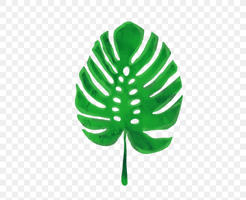 Swiss Cheese Plant Leaf Euclidean Vector Green, PNG, 456x668px, Swiss Cheese Plant, Arecaceae, Color, Green, Leaf Download Free