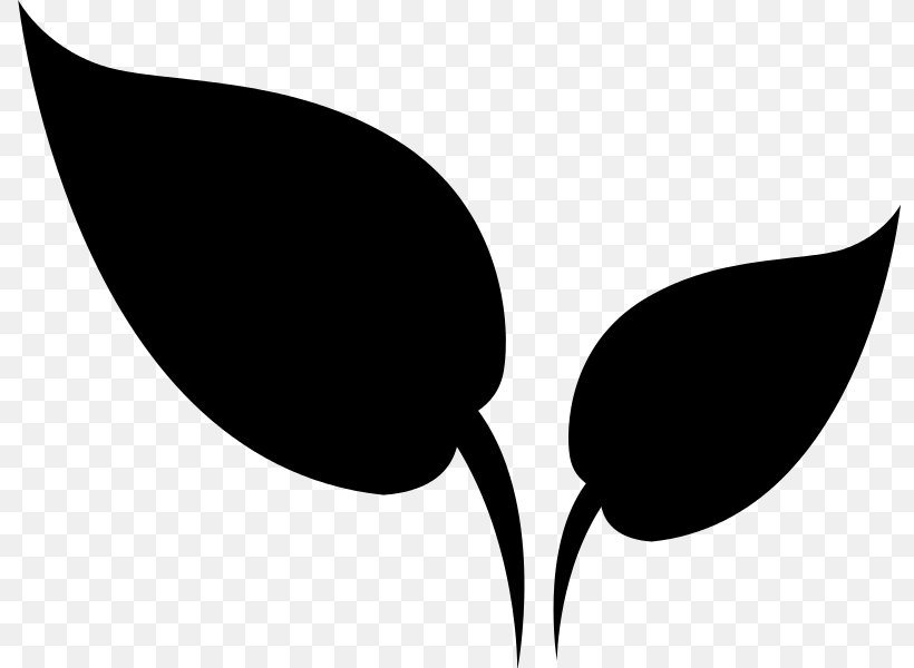 Clip Art Leaf Desktop Wallpaper Plant Stem Silhouette, PNG, 797x600px, Leaf, Anthurium, Black M, Blackandwhite, Botany Download Free
