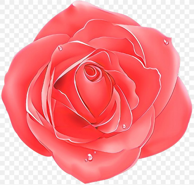 Garden Roses, PNG, 3000x2862px, Cartoon, Floribunda, Flower, Garden Roses, Hybrid Tea Rose Download Free