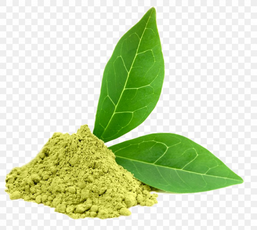 Green Tea Dietary Supplement Oolong Camellia Sinensis, PNG, 2062x1845px, Tea, Antioxidant, Black Tea, Camellia Sinensis, Catechin Download Free