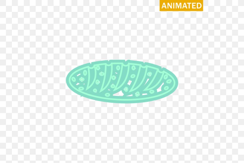 Product Design Oval M Tableware, PNG, 548x548px, Oval M, Aqua, Green, Material, Oval Download Free